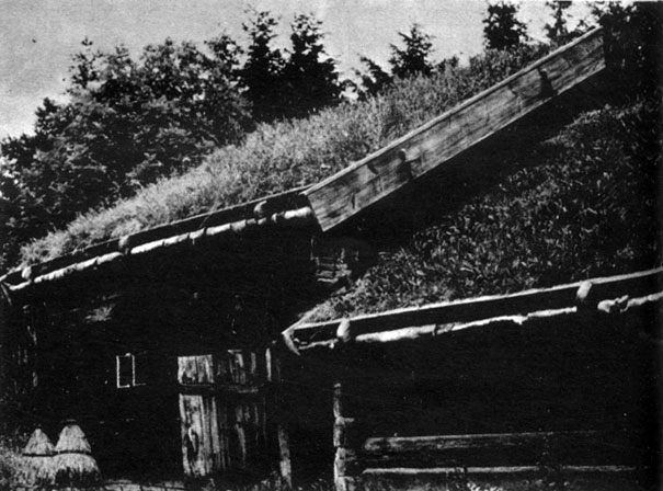 Рис. 57. Старое здание на ферме с крышей, покрытой дерном